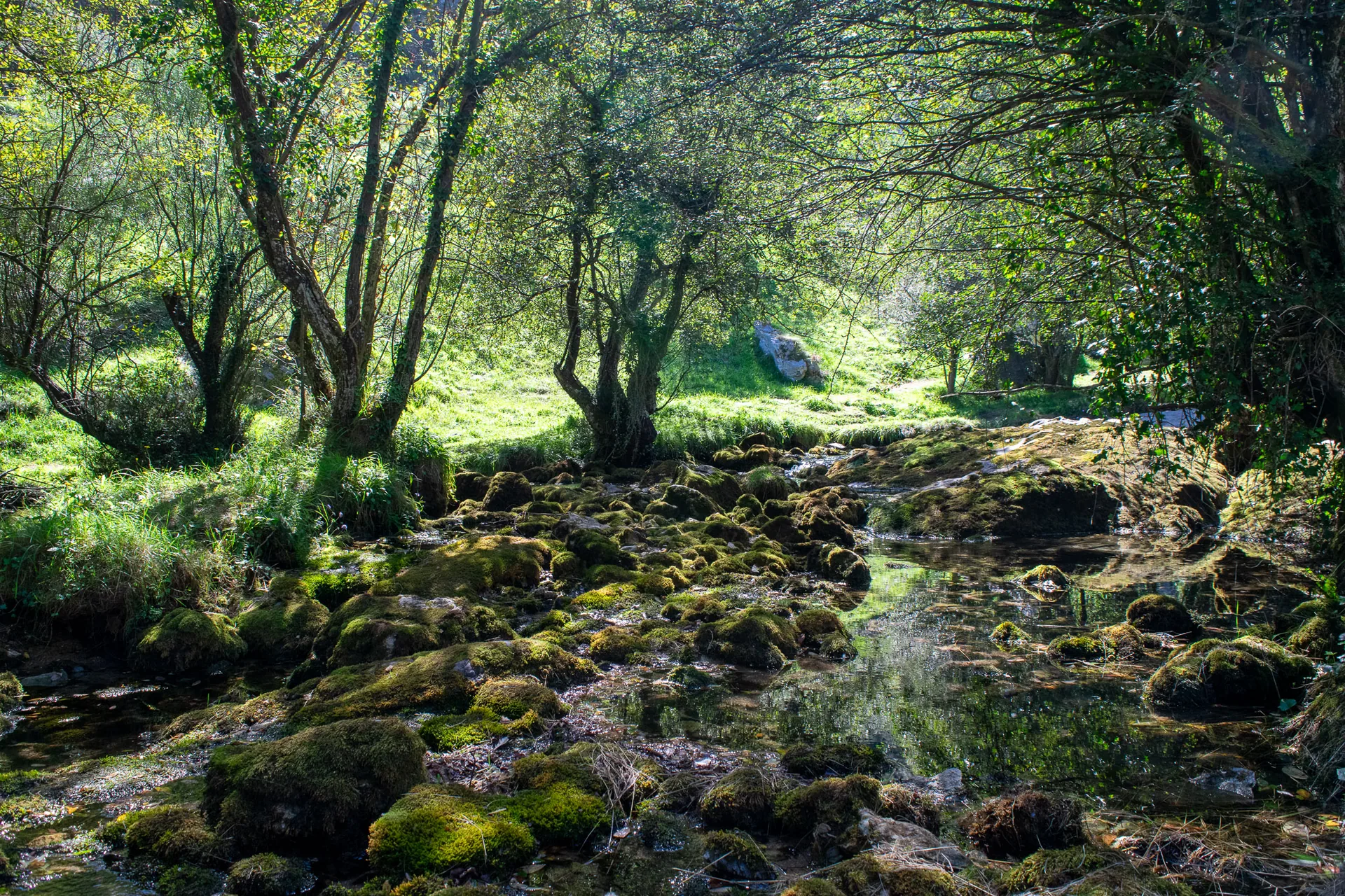 Cascada del Río Asón waterfall and crystal waters